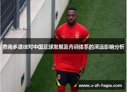 费南多退役对中国足球发展及青训体系的深远影响分析